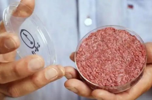 İtaliyada süni ət qadağan edilib