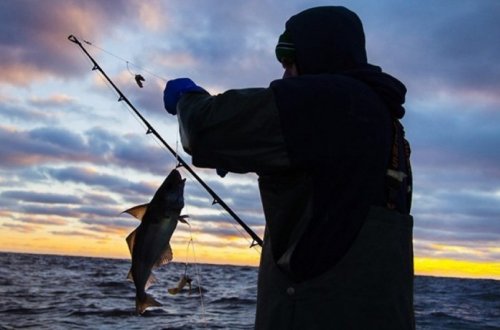 Daxili su hövzələrində sənaye balıq ovu qadağan edilib