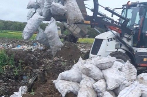 İrandan Azərbaycana gətirilən tonlarla kartof məhv edilib - FOTO