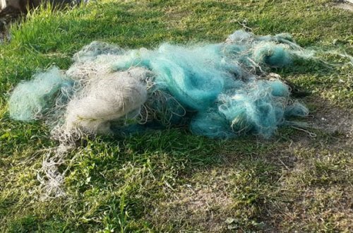 Qanunsuz balıq ovlayanlar saxlanıldı