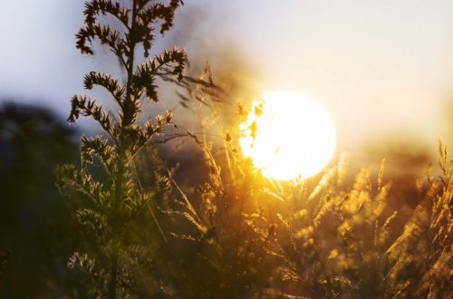 Sabah rayonlarda intensiv yağış yağacaq, dolu düşəcək