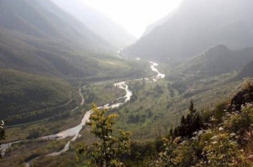 Bəsitçay Qoruğunda heyvanları izləmək üçün gizli kameralar quraşdırılıb