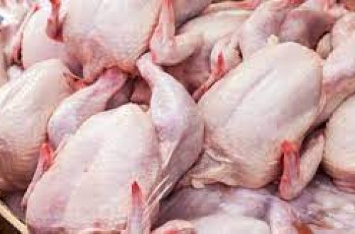 Azərbaycan bəzi əyalətlərdən quş ətinin idxalına məhdudiyyət qoyub