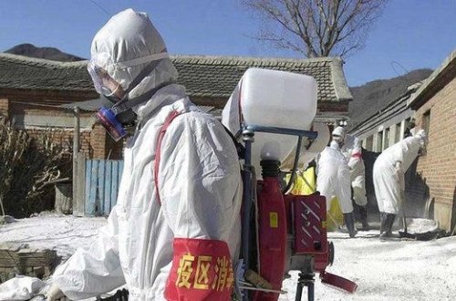 Çində 56 yaşlı qadın quş qripindən ölüb