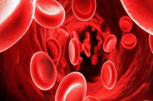 Talassemiya xəstələrinin övladları qanazlığından əziyyət çəkə bilərlər