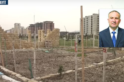 Xiyar-pomidor əkilən Sumqayıt bulvarının rəisi işdən çıxarılıb (İDDİA/VİDEO)