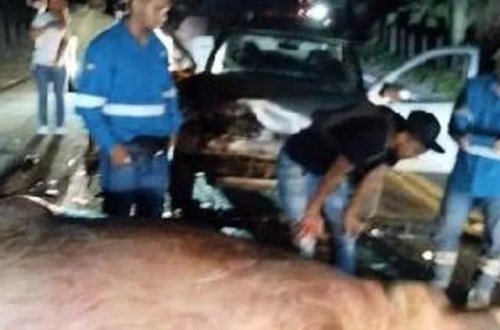 Eskobarın begemotlarından biri avtomobil qəzasında ölüb