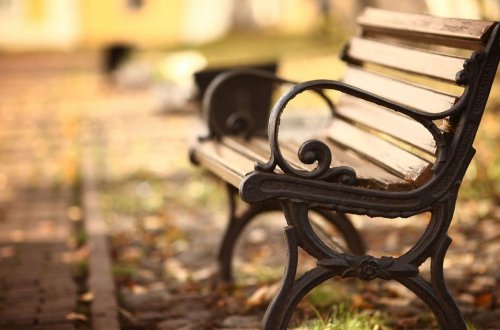 Xırdalanda parkdan 3 ədəd skamya oğurlanıb