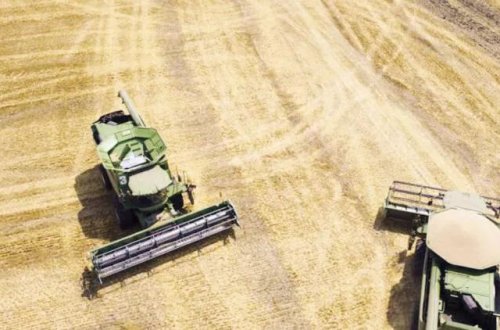 Polşa Ukraynadan taxıl idxalına qadağa qoyub