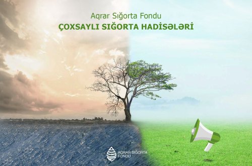 Aqrar Sığorta Fondu: Fermer təsərrüfatlarına dəymiş zərər müəyyənləşdirilir