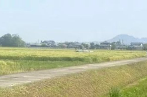 Yaponiyada təlim təyyarəsi meydançaya təcili eniş edib: 2 YARALI