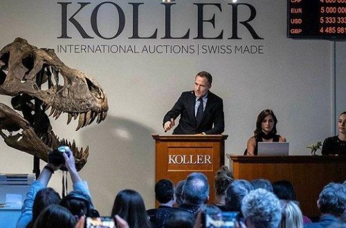 T-Rex dinozavr skeleti 6,2 milyon dollara satıldı