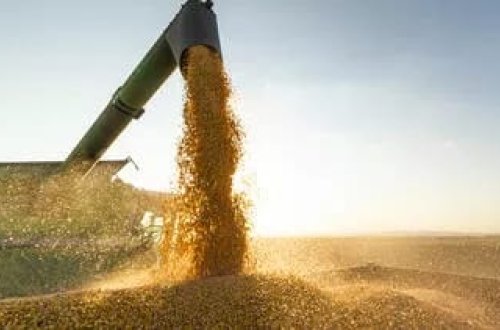 Bolqarıstan Ukraynadan taxıl idxalına qadağa qoydu