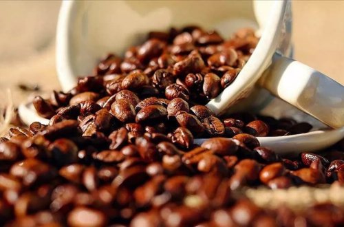 Harvarddan araşdırma: Qəhvə içmək ölüm riskini AZALDIR