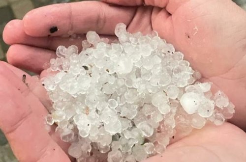 Cəlilabada güclü dolu yağıb, meyvə ağaclarına ziyan dəyib