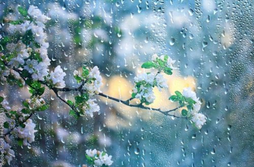 Bu gün və sabah yağış yağacaq - XƏBƏRDARLIQ