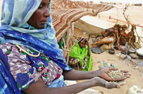 Keniyada aclıqdan ölən 21 nəfərin meyiti tapılıb