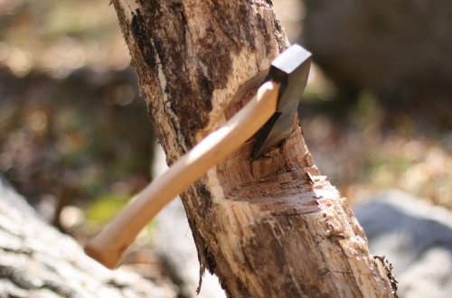 Zaqatalada ekoloji hüquqpozmalarla bağlı cinayət işi başlanılıb