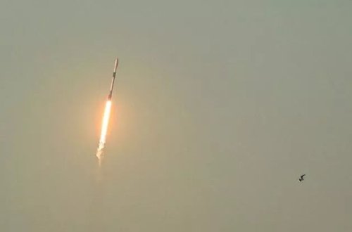 SpaceX orbitə daha 46 Starlink peyki göndərib