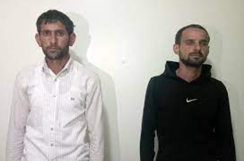 Şirvanda narkotik tərkibli bitkilərin kultivasiyası ilə məşğul olan iki nəfər saxlanılıb