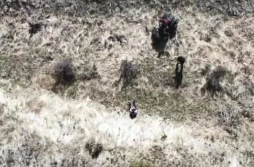 ABŞ-da itkin düşən 3 yaşlı uşaq İHA-nın köməyi ilə tapılıb