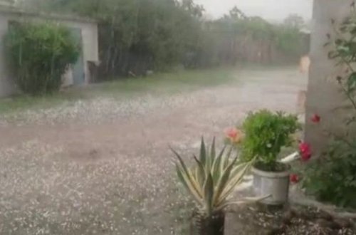 İmişliyə dolu düşüb, taxıl sahələrinə ziyan dəyib - FOTO