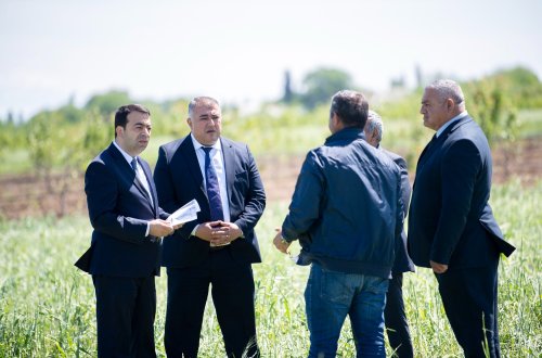 Təbiət hadisələrindən zərər çəkmiş təsərrüfatlarda monitorinqlər davam edir