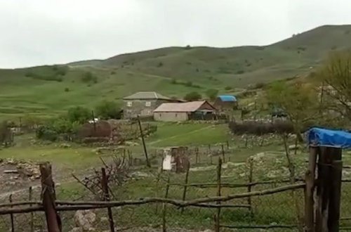 Qubada canavarlar kəndə hücum etdilər - VİDEO