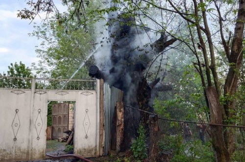 В Габале намеренно подожгли дерево