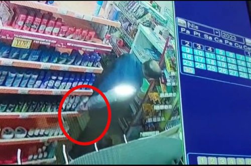 Gəncədə psixotrop maddə, odlu silah saxlayan, soyğunçuluq və oğurluq edən şəxslər tutulublar - FOTO/VİDEO