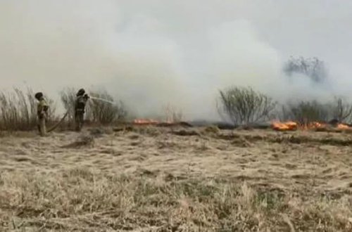 Rusiyada meşə yanğınlarının bəziləri nəzarət altına alınıb