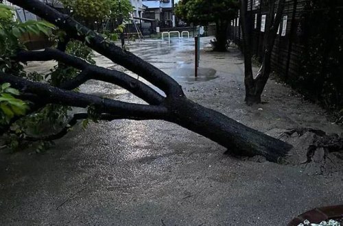 Yaponiyada çay bəndi uçub, evləri və avtomobilləri su basıb