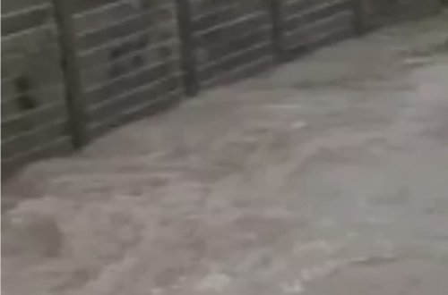 Yeni Zelandiyada daşqın səbəbindən fövqəladə vəziyyət elan edilib