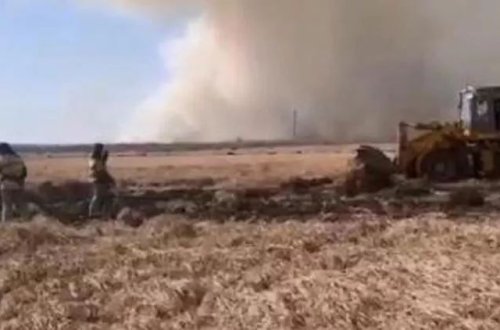 Rusiyada meşə yanğınından sonra kol yanğını davam edir