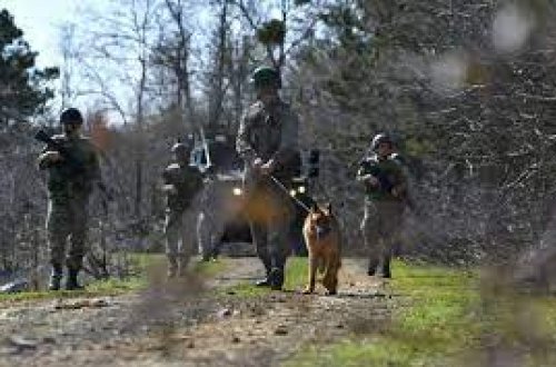 Türkiyədə terrorçularla atışmada şəhid olanların sayı beş nəfərə çatıb