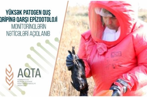 Azərbaycanda quş qripinə qarşı aparılan monitorinqlərin nəticələri açıqlanıb