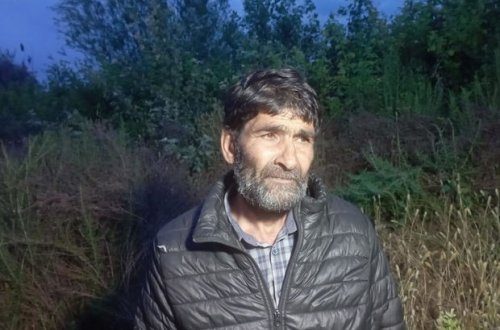 Həyətində çətənə kolları yetişdirən Neftçala rayon sakini saxlanılıb - FOTO