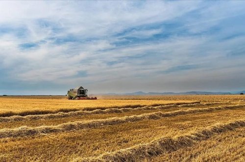 Hollandiyada hökumətlə fermerlər arasında aparılan danışıqlarda razılıq əldə olunmadı
