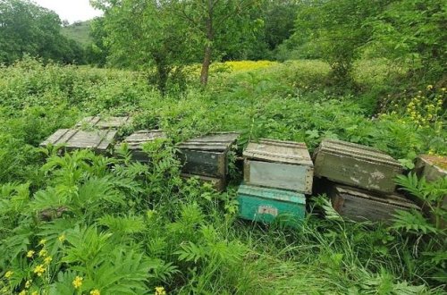 Xocavənddə partlayıcı vasitələr aşkar edilib - FOTO/VİDEO