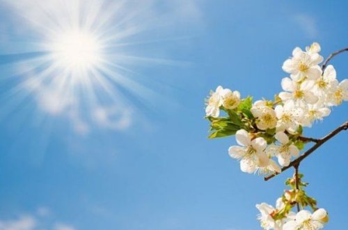 Bakıda 27 dərəcə isti olacaq, bəzi rayonlara dolu düşəcək