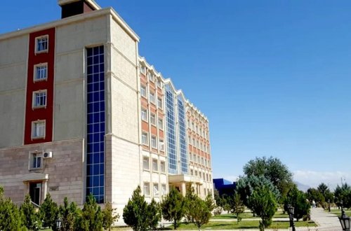 Naxçıvan şəhər poliklinikasının baş həkimi işdən çıxarılıb