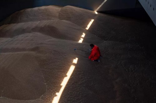 Bolqarıstan Ukraynadan taxıl idxalına qadağa qoya bilər