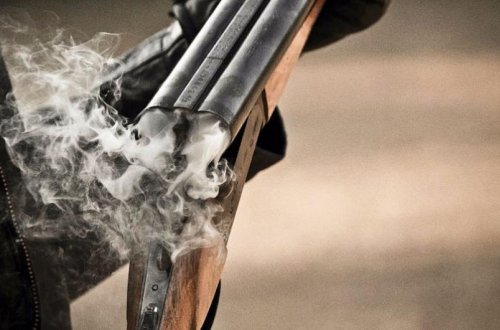 ETSN əməkdaşına atəş açmaqda şübhəli bilinən şəxsə cinayət işi açılıb