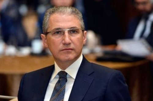 Muxtar Babayev ölkəni səhraya çevirir: BU DƏFƏ 533 AĞAC QANUNSUZ KƏSİLDİ