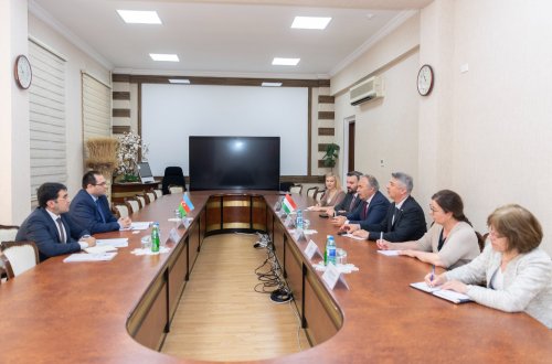 Nazir Məcnun Məmmədov Macarıstanın kənd təsərrüfatı naziri ilə görüşüb