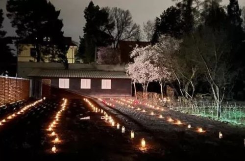 Polşada 128 nəfərin kütləvi məzarlığı tapılıb