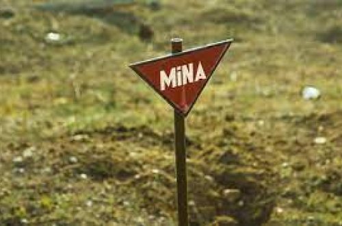 Житель Товуза подорвался на мине