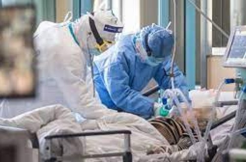 Son sutkada Azərbaycanda 1 nəfər koronavirusa yoluxub, 5 nəfər sağalıb