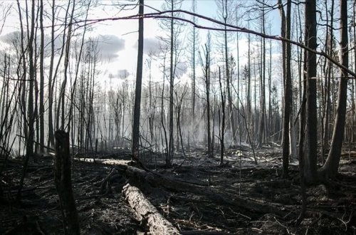Kanadada meşə yanğınları səbəbindən minlərlə insan təxliyə edildi