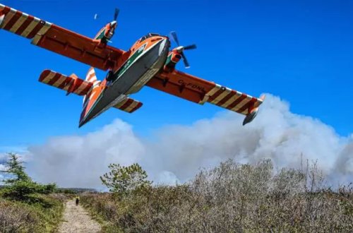 Kanadada meşə yanğınlarının baş verdiyi bölgə boşaldılır